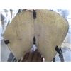 Image 7 : 13" Riding Saddle With Cinch & Stand & Cover