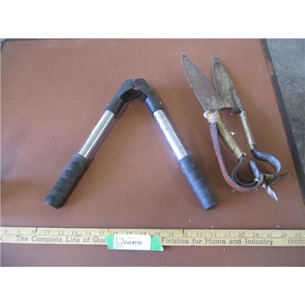 Calf DE-Horner, Shears