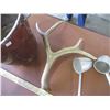 Image 4 : Plastic Pail, (2) Aluminum Dippers, Mule Deer Shed