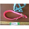 Image 4 : (2) Foal Halters, Dog Collar