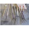 Image 2 : (2) Forks, Potato Fork, Hoe, Hedge Clipper