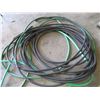 Image 2 : (2) Plastic Garden Hoses