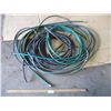 Image 1 : (3) Plastic Garden Hoses