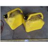 Image 2 : (2) Diesel Jerry Cans