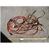 Image 1 : (2) Extension Cords