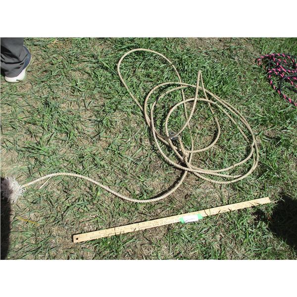 Lariat With Quick Release