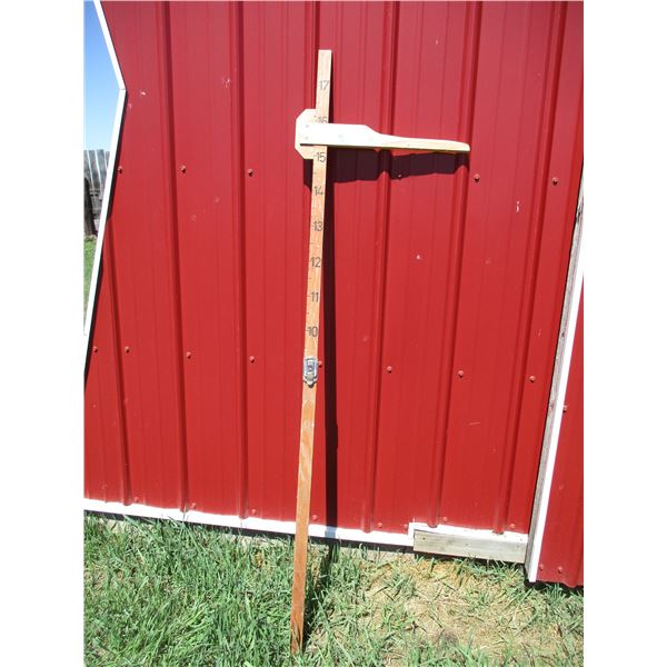 Horse Measuring Stick