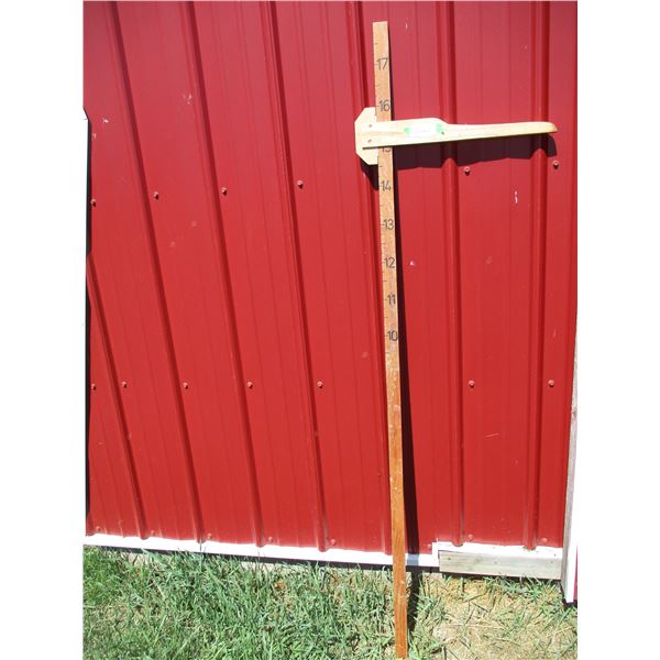 Horse Measuring Stick