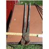 Image 4 : (2) Branding Irons, Hoof Trimmer