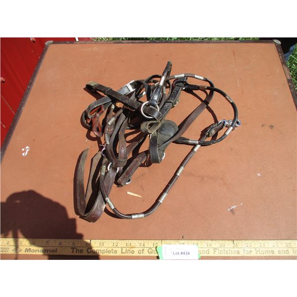 Breast Plate, Reins - One Rein Damaged