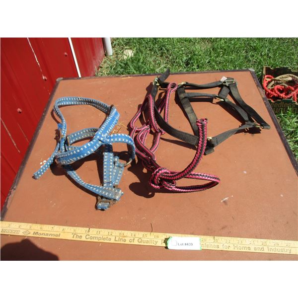 (2) Web Halters, (1) Rope Halter