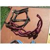 Image 3 : (2) Web Halters, (1) Rope Halter