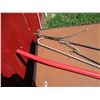 Image 3 : Cane, (3) Whips