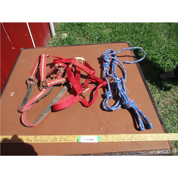(3) Halters