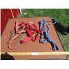 Image 1 : (3) Halters