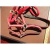 Image 2 : (3) Halters