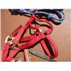 Image 3 : (3) Halters