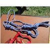 Image 4 : (3) Halters