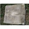 Image 3 : Saddle Pad