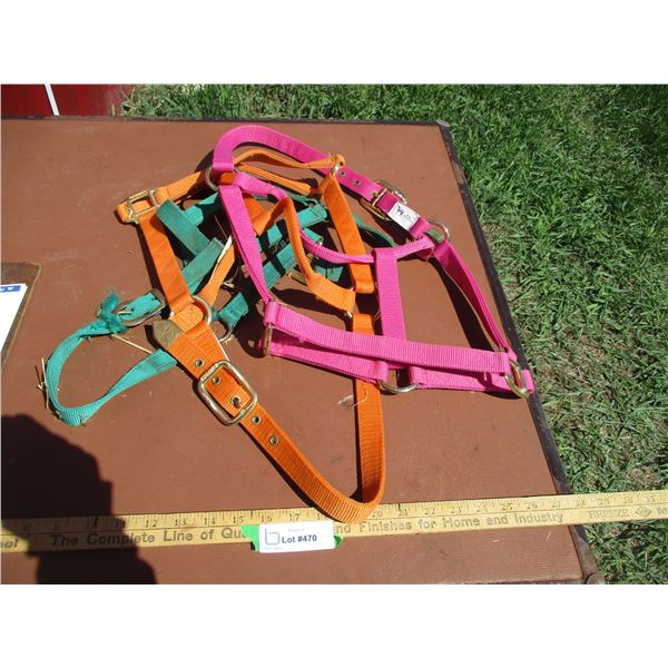 (3) Web Halters