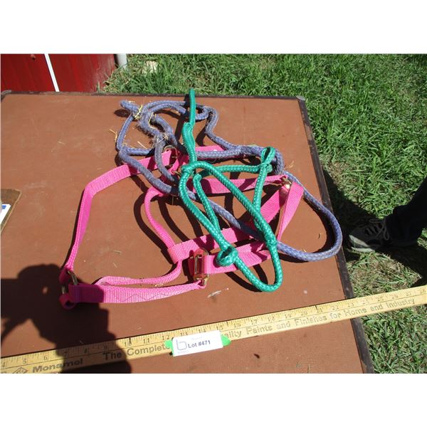Web Halter, (2) Rope Halters