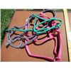 Image 2 : Web Halter, (2) Rope Halters