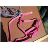 Image 3 : Web Halter, (2) Rope Halters