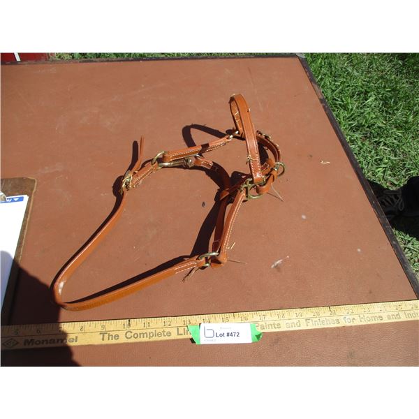 Yearling Show Halter