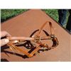 Image 3 : Yearling Show Halter