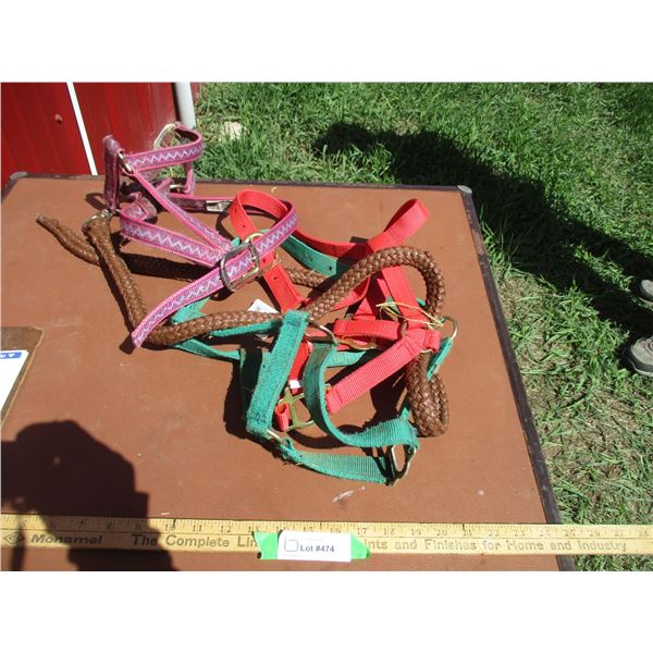 (3) Web Halters - One With Lead Line