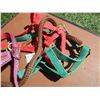 Image 3 : (3) Web Halters - One With Lead Line