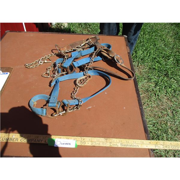 Leather Cow Halter, (2) Web Cow Halters