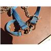 Image 3 : Leather Cow Halter, (2) Web Cow Halters