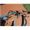 Image 4 : Leather Cow Halter, (2) Web Cow Halters