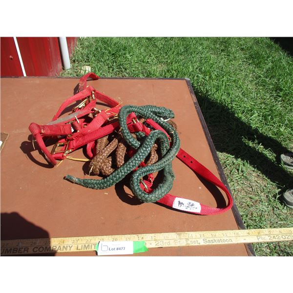 (2) Web Halters, (2) Lead Lines