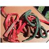Image 2 : (2) Web Halters, (2) Lead Lines