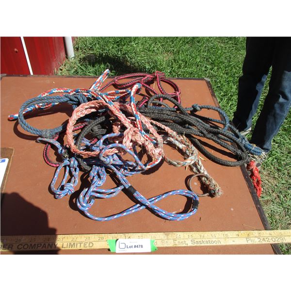 (5) Rope Halters