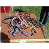 Image 1 : (5) Rope Halters