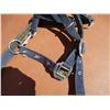 Image 4 : Double Stitched Horse Halter