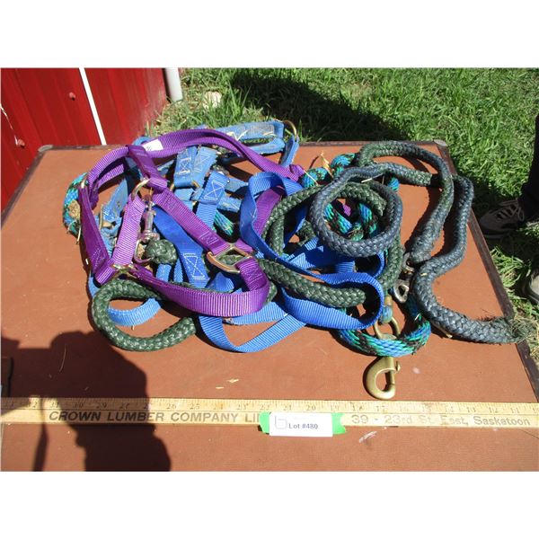 Halters, Lead Lines