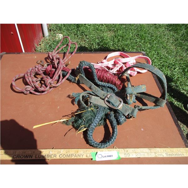 Colt Halter, Rope Halter With Lead Line, Other Halters