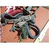 Image 3 : Colt Halter, Rope Halter With Lead Line, Other Halters