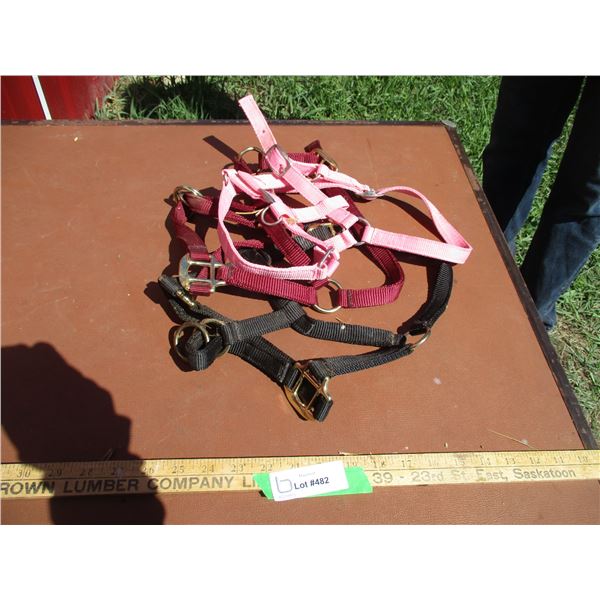 (2) Yearling Halters