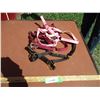 Image 1 : (2) Yearling Halters