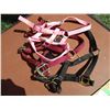 Image 2 : (2) Yearling Halters