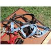 Image 3 : (5) Yearling Halters