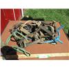 Image 1 : Halters