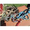 Image 2 : Halters