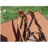 Image 3 : Breast Collar, Matching Bridle, Bit, Reins