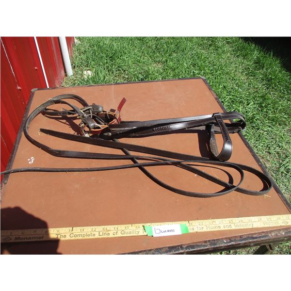 Leather Bridle, Bit, & Reins
